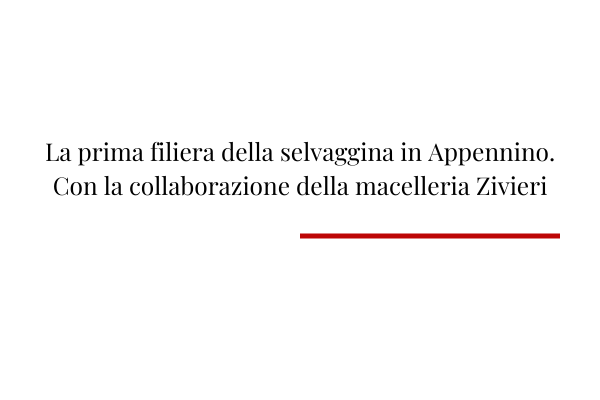 Zivieri sul Gambero Rosso: la filiera della selvaggina come modello per l’Italia