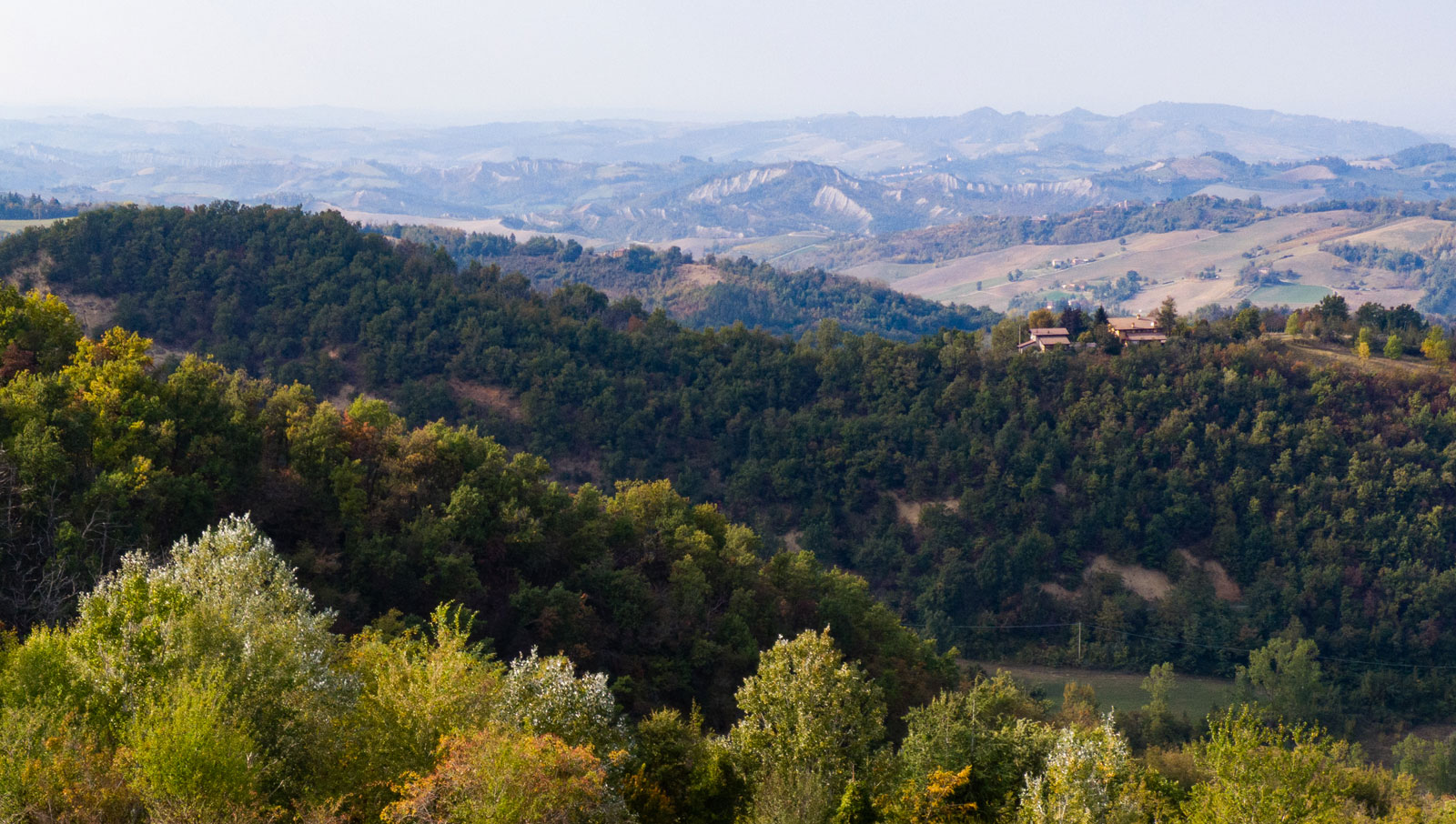 Il Macello