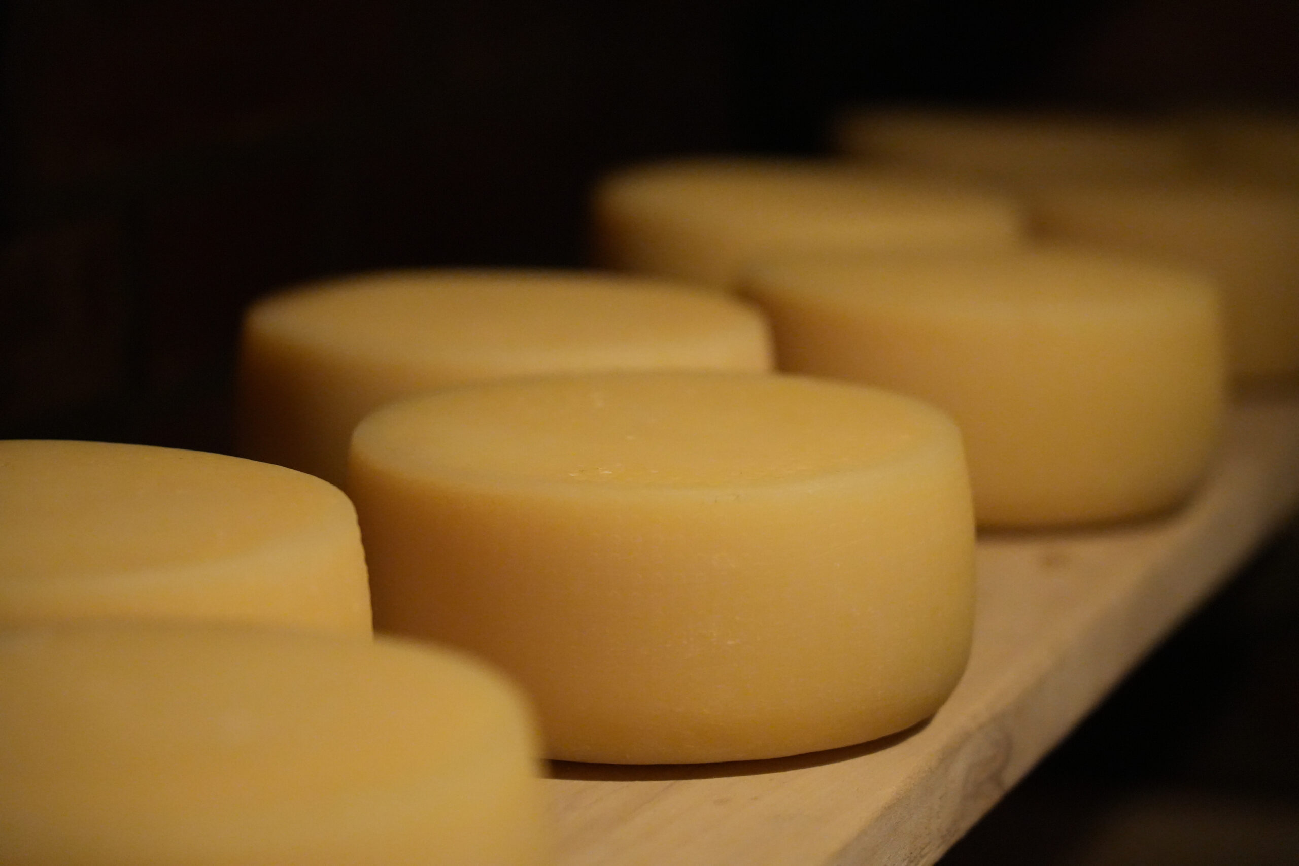 Formaggi artigianali del caseificio Fattoria Zivieri: ricotte, robiola, squacquerone, caciotte e stagionati dal latte dei nostri animali